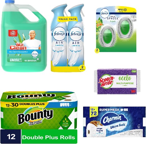 Toilet Room Cleanup & Freshness