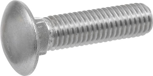 1/4-in x 1-1/4-in Stainless Coarse Thread Interior/Exterior Carriage Bolt 10 -Count