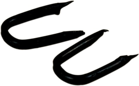 20 Ounce(s) 0.563-in Black Double point tack