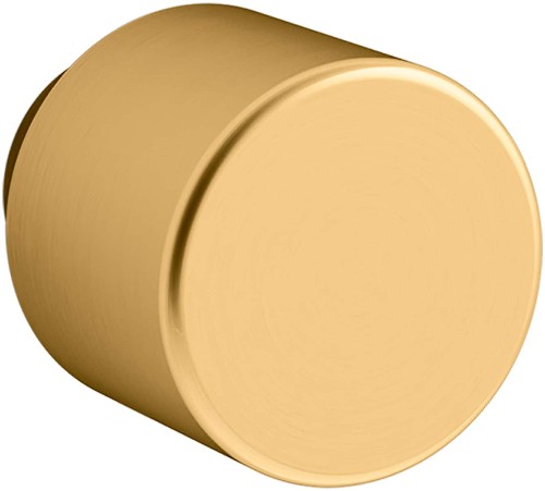 Helst 7/8-in Vibrant Brushed Moderne Brass Round Transitional Cabinet Knob