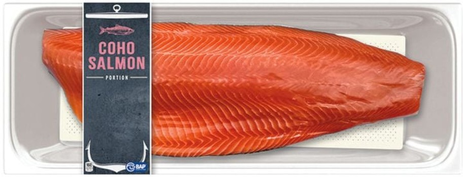 Coho Salmon