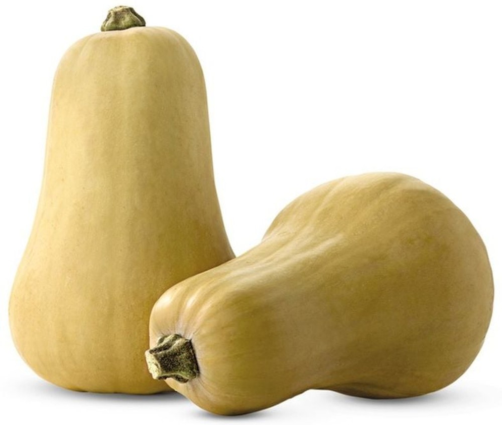 Butternut Squash