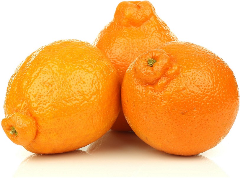 Minneola Tangelos, 5 lbs.