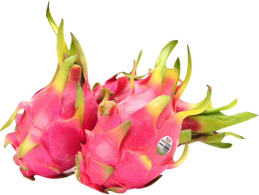 Red Dragon Fruit, 1.5 lbs.