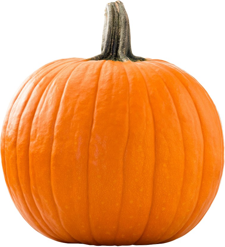 Pumpkin, 1 ct.