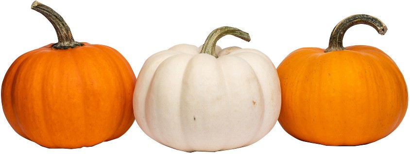 White and Orange Mini Pumpkins, 6 ct.
