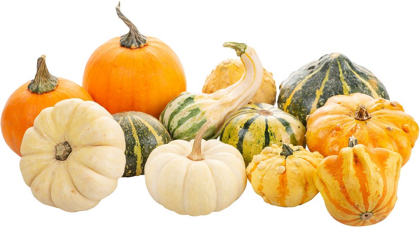 Assorted Mixed Gourds, 7 ct.