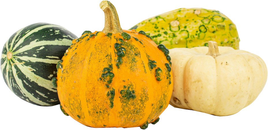 Large Heirloom Pumpkin, 1 ct.