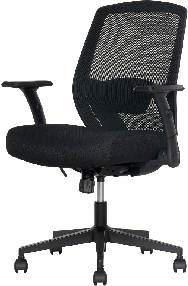 ErgoRest Mesh Office Chair with Memory Foam Seat