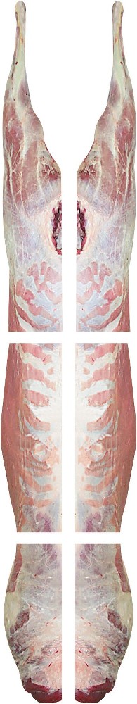 Halal Goat, 6-Way Cut, 12 Pieces, 32 lb avg wt