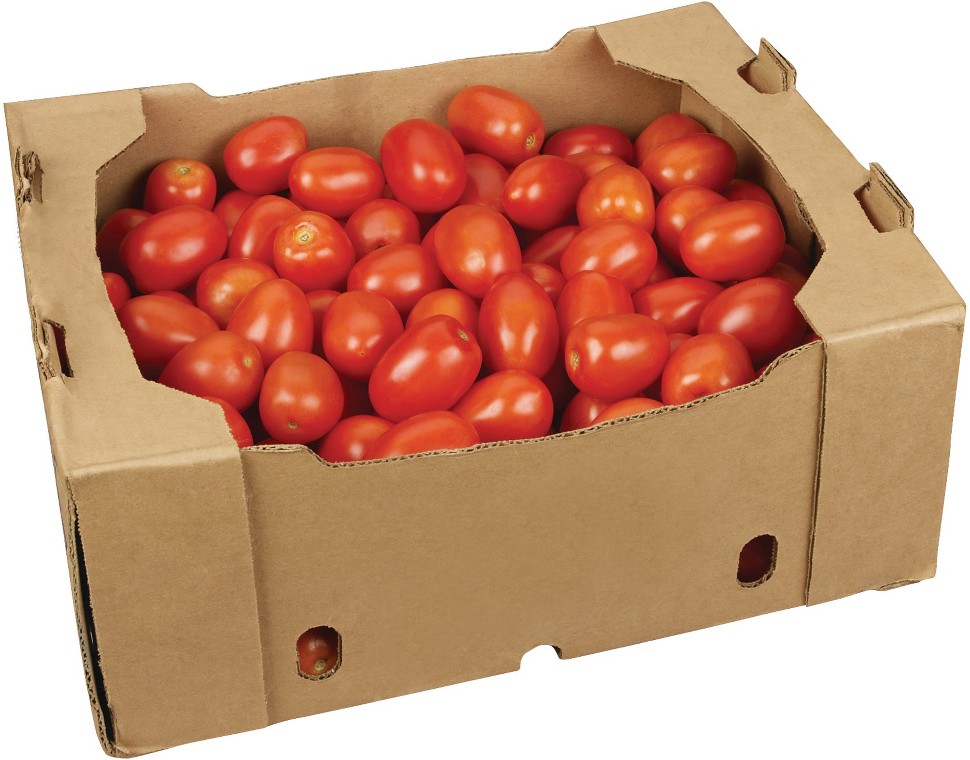 Roma Tomatoes, 25 lbs