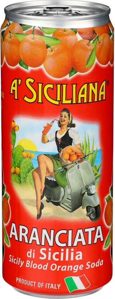 Sparkling Italian Soda, Blood Orange, 11.15 fl oz, 16 ct