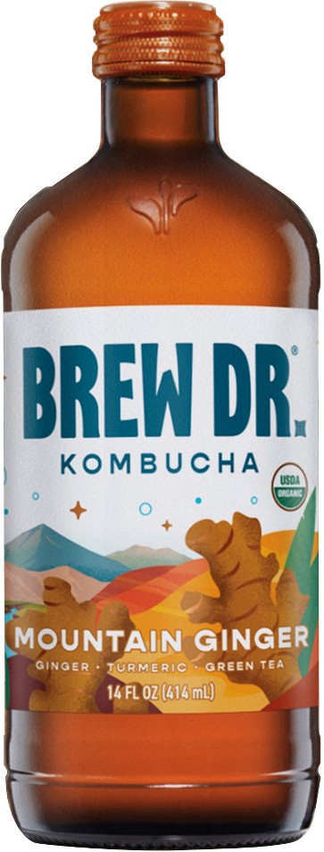 Kombucha, Mountain Ginger, 14 fl oz, 12 ct