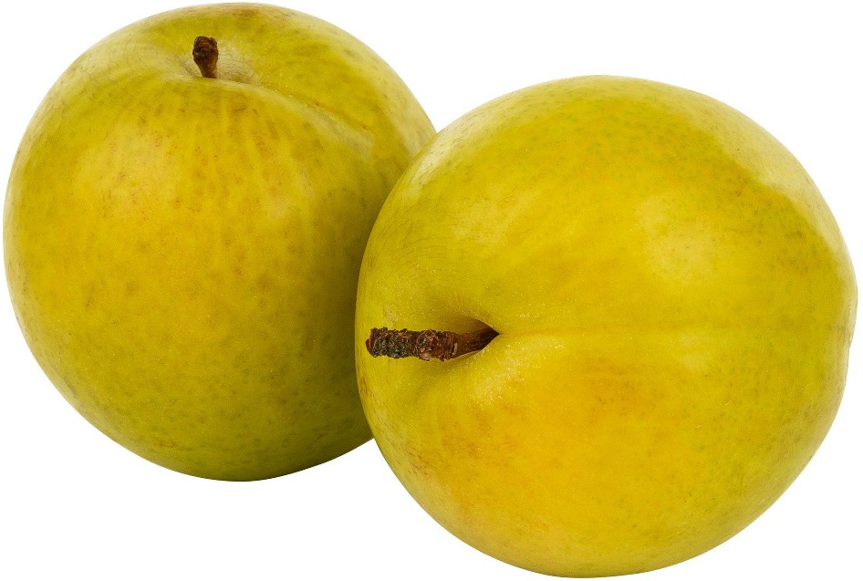 Honey Gold Plums, 3.5 lbs