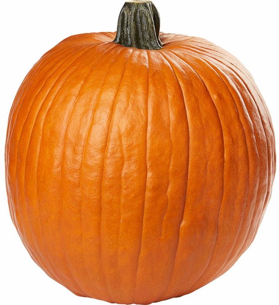 Jumbo Pumpkin
