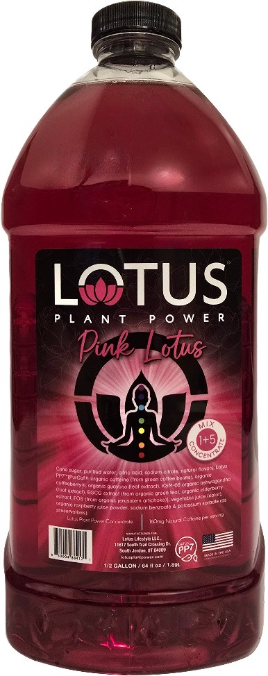 Plant Power Energy Concentrate Mix, Pink , 64 fl oz