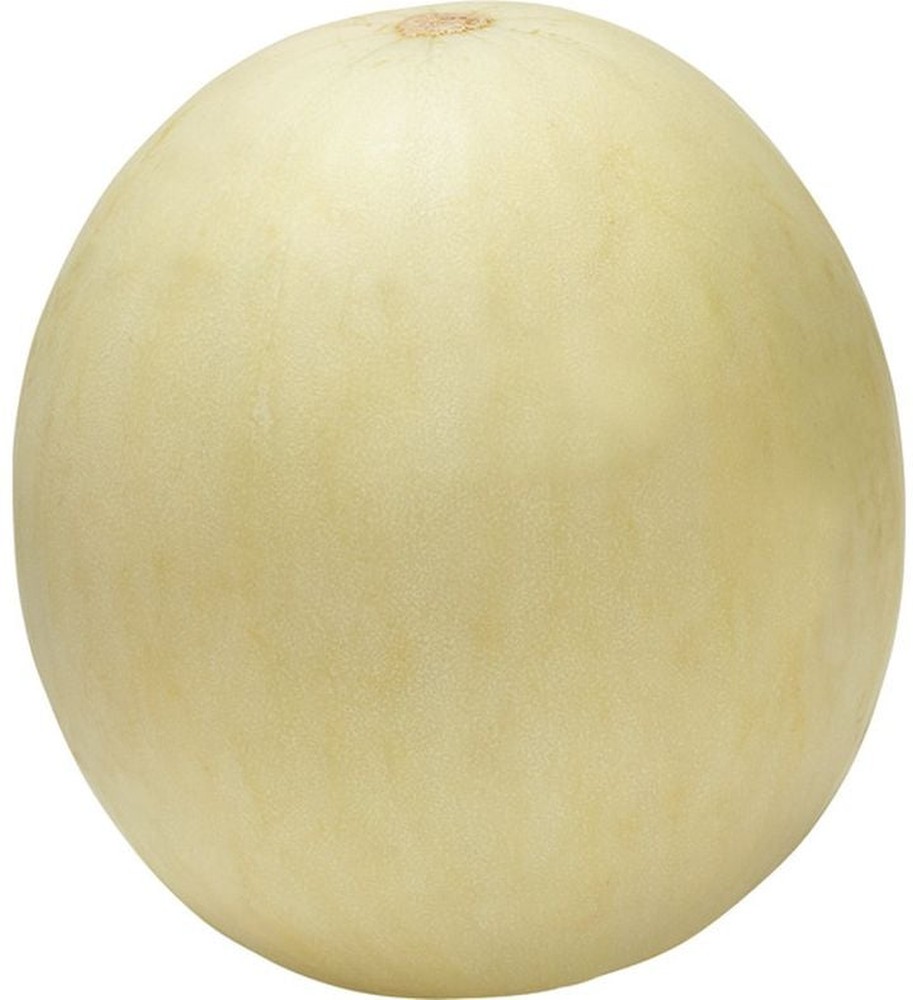 Honeydew US #1 Large Melon