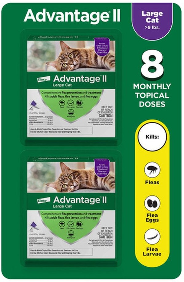 Large Cat, Over 9 lbs, 8 Month Supply