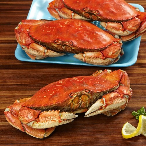 Whole Cooked Dungeness Crab