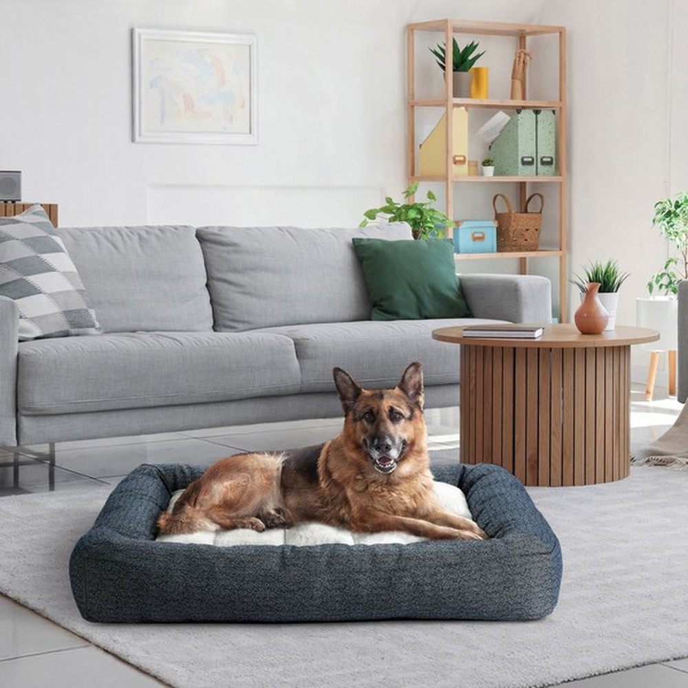32" x 42" Channeled Bolster Pet Bed, Assorted Colors