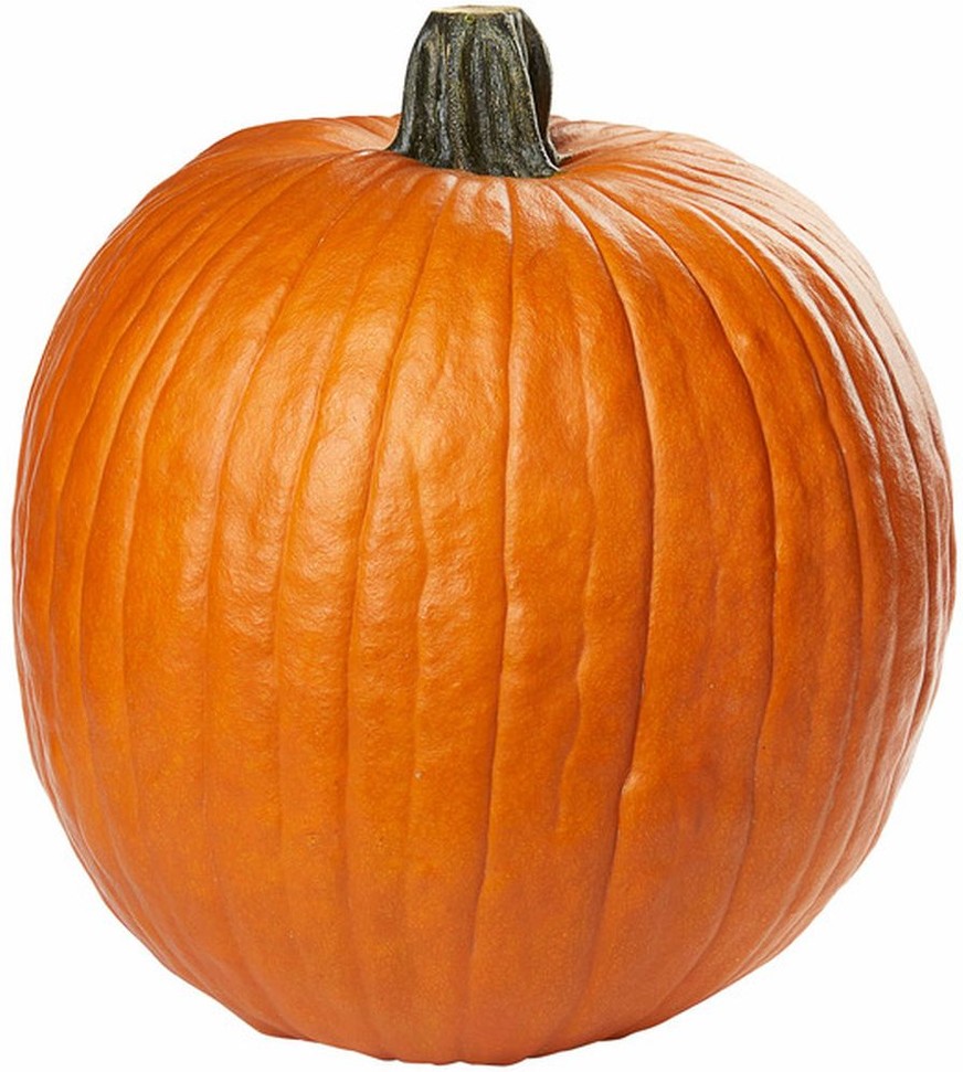 Jumbo Pumpkin