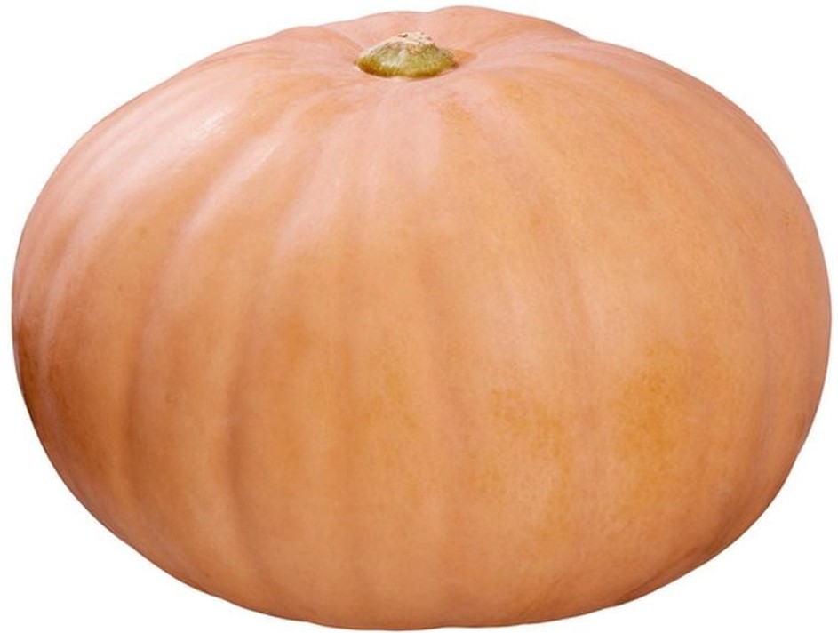 Heirloom Pumpkins, Each, Assorted Colors