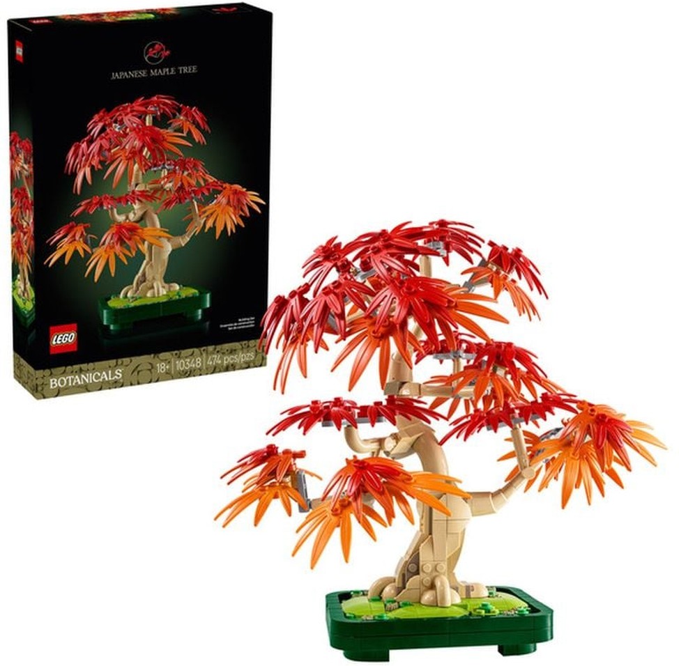 Japanese Maple Botanical