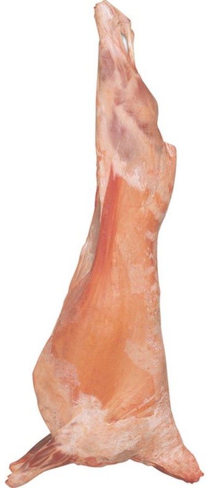 Australian Lamb Carcass