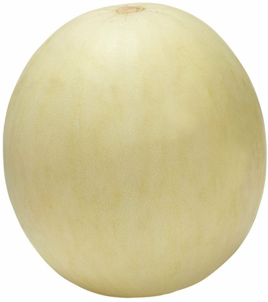 Honeydew US #1 Large Melon