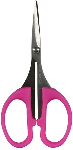 Detailing Scissors