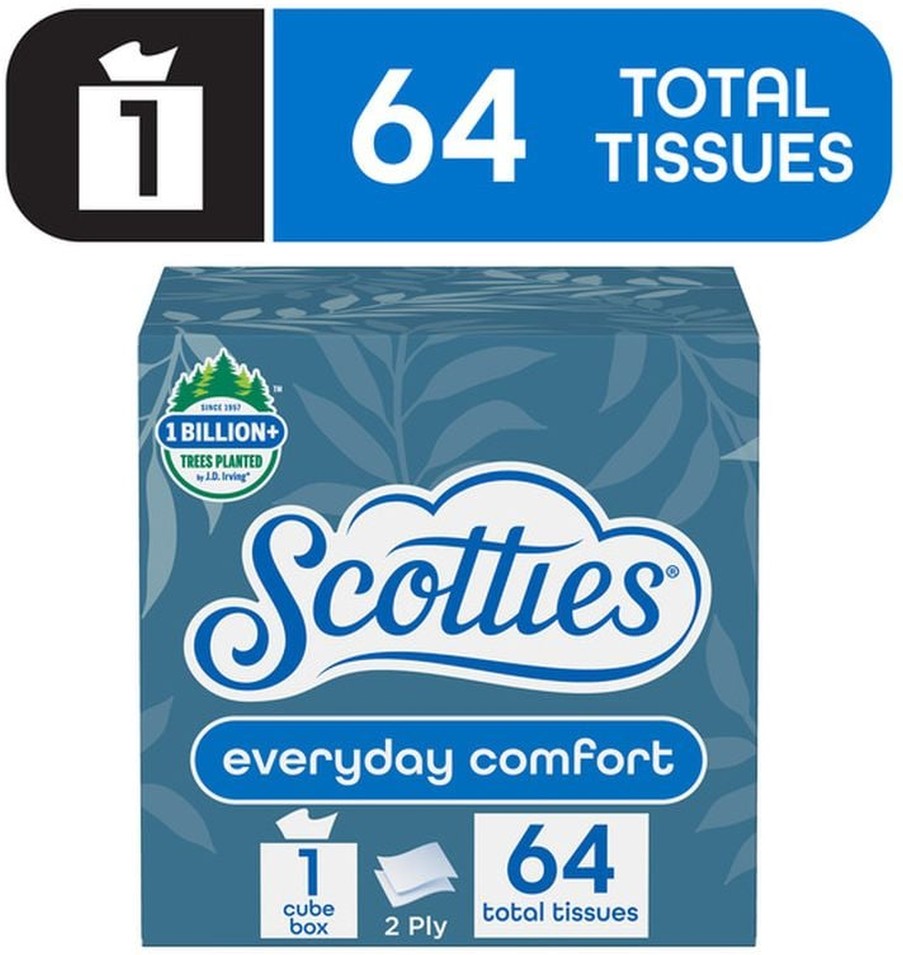 Facial Tissue, Everyday Comfort, 2-Ply
