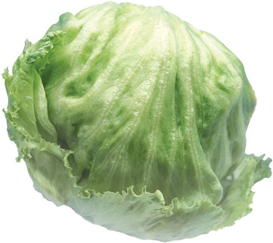 Iceberg Lettuce