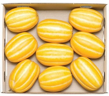 Korean Melon Box