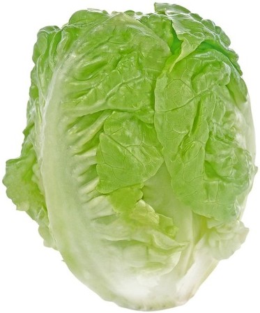 Organic Baby Romaine Lettuce