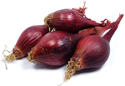Pearl Onion