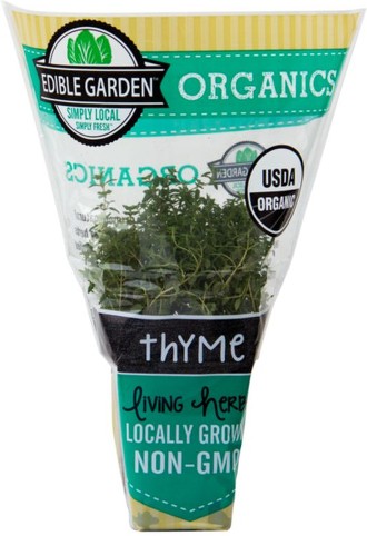Organic Thyme
