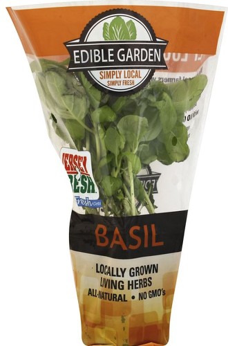 Basil