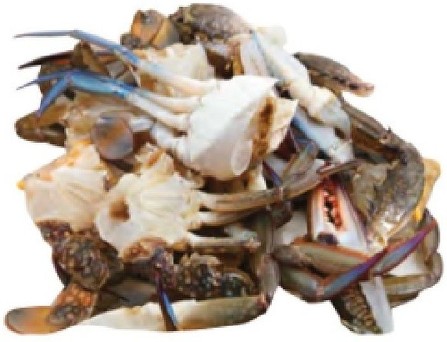 Half Cut Blue Crab