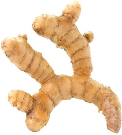 Turmeric Root