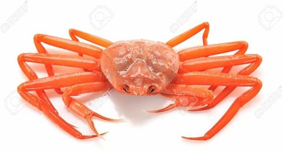 Real Red Crabs