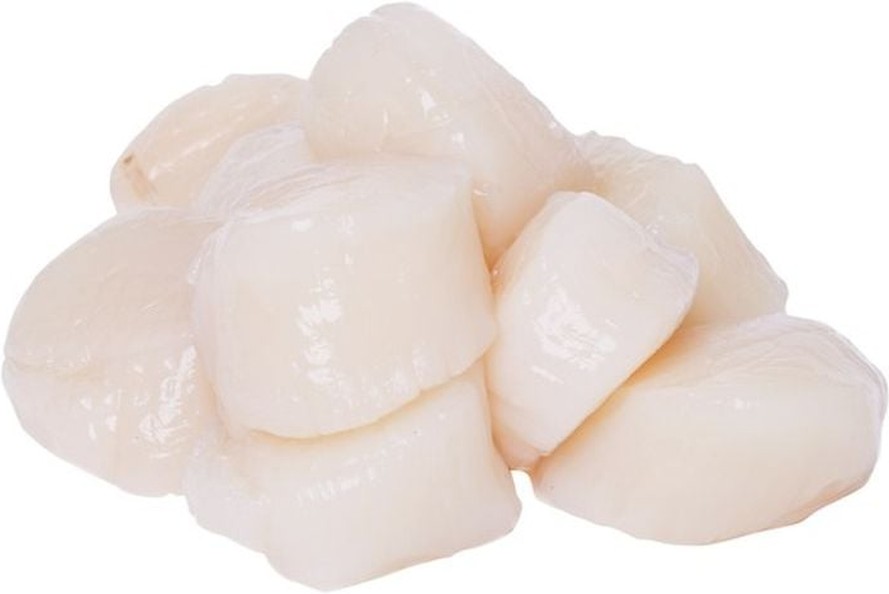 Bay Scallop