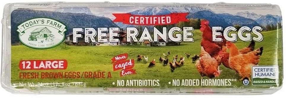 Large Free Range Brown Egg