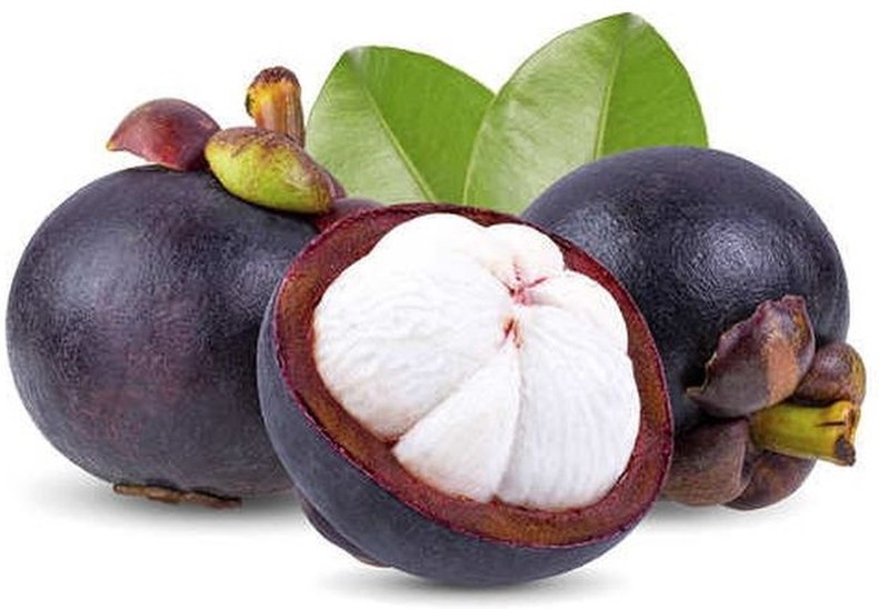 Mangosteen
