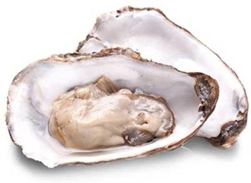 Korean Oyster Meat