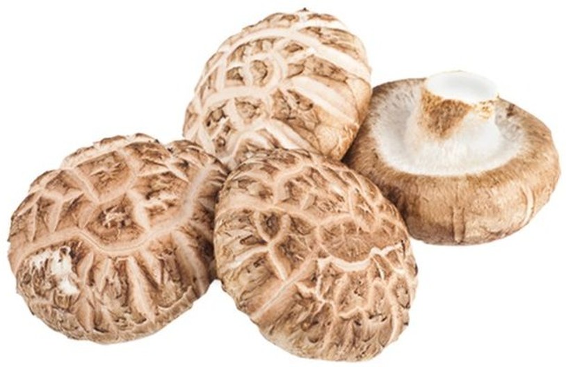 Shiitake Mushroom