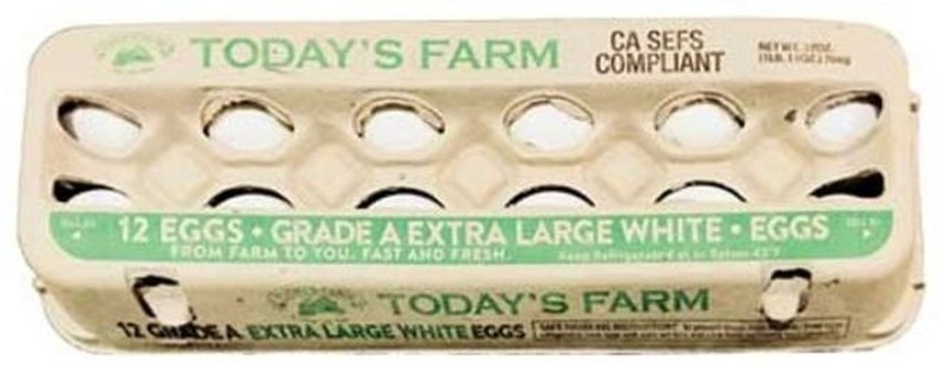White Extra Large Eggs
