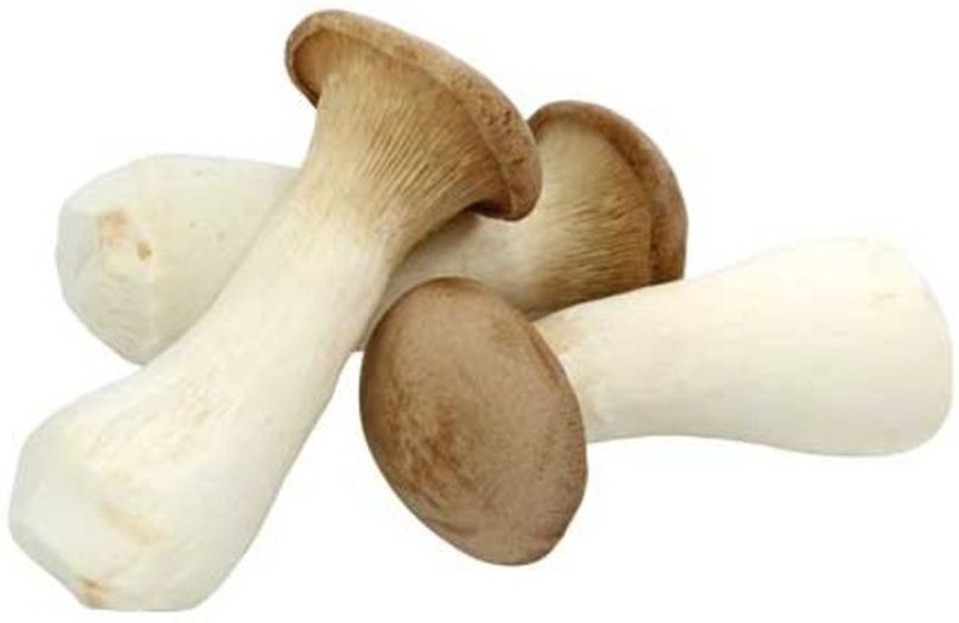 Oyster Mushroom
