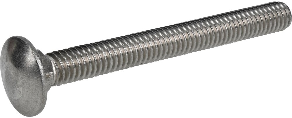 5/16-in x 3-in Stainless Coarse Thread Interior/Exterior Carriage Bolt