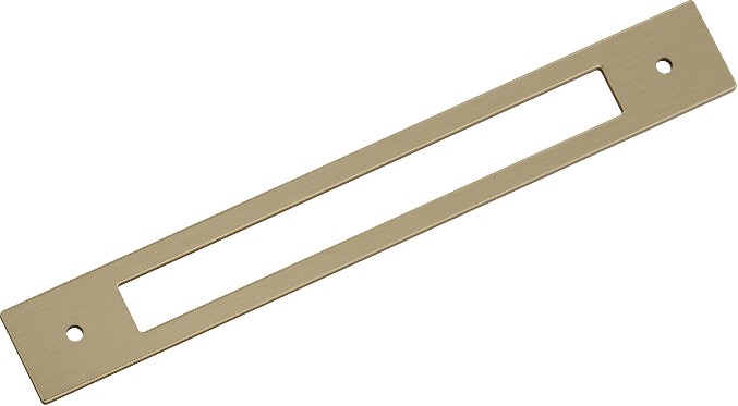 Golden Champagne Steel Backplate