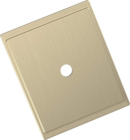 Golden Champagne Steel Backplate